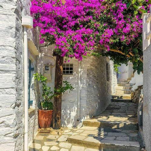 امیر دلیران کارم بیه گریوه و غم ماتم و رنج و عزاو